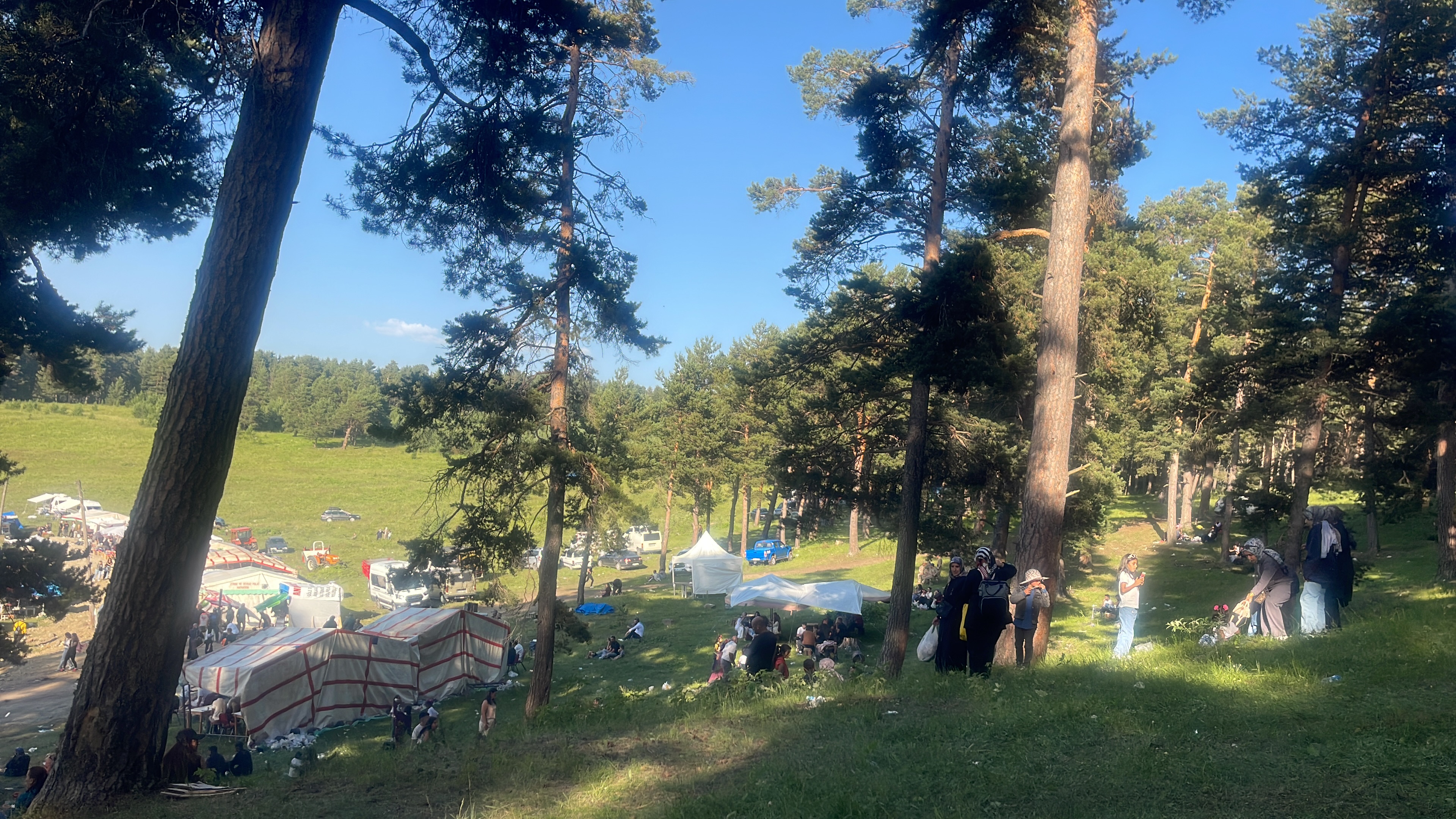 Réaliser le festival de göle